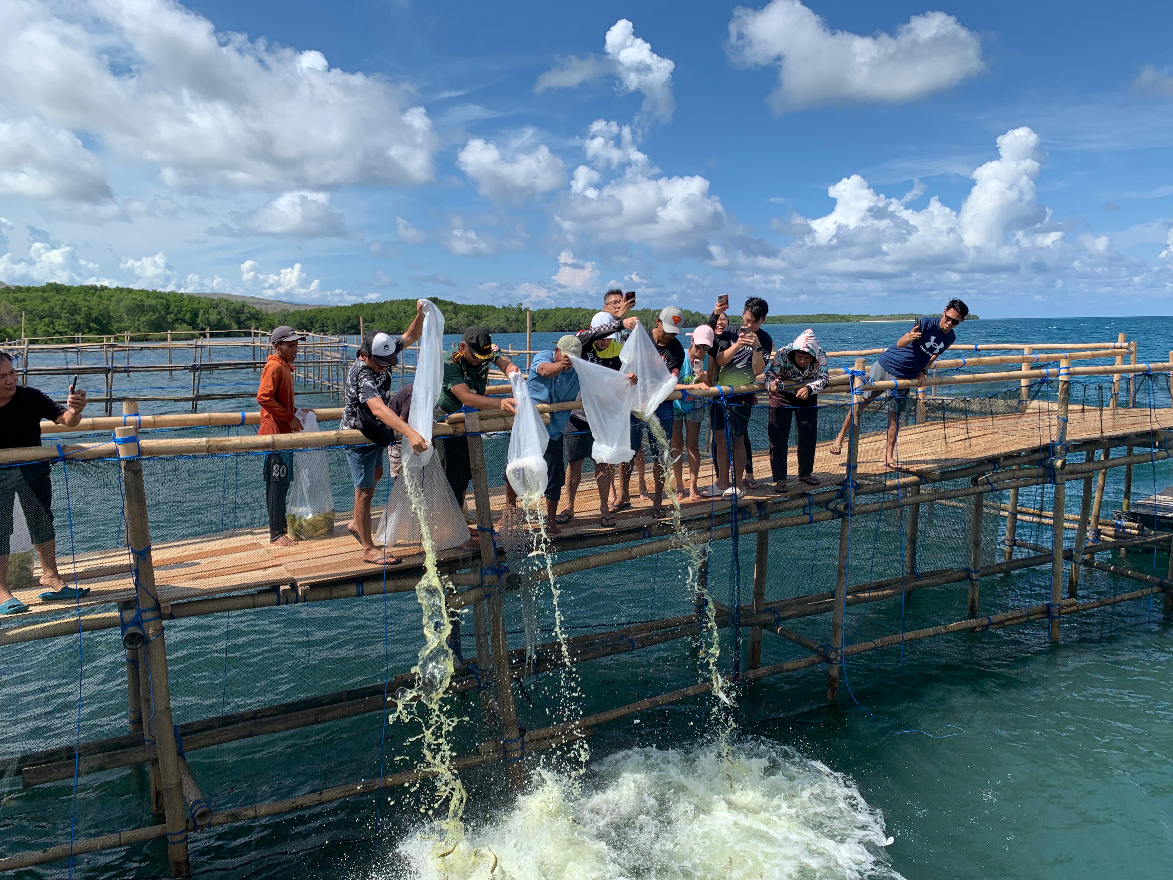 Manejemen CV. Putra Bahari dan Dandim 1609/Buleleng Melaksanakan Penebaran Benih Perdana Budidaya Ikan Bandeng dengan Sistem Keramba Tancap Laut di Desa Sumberklampok