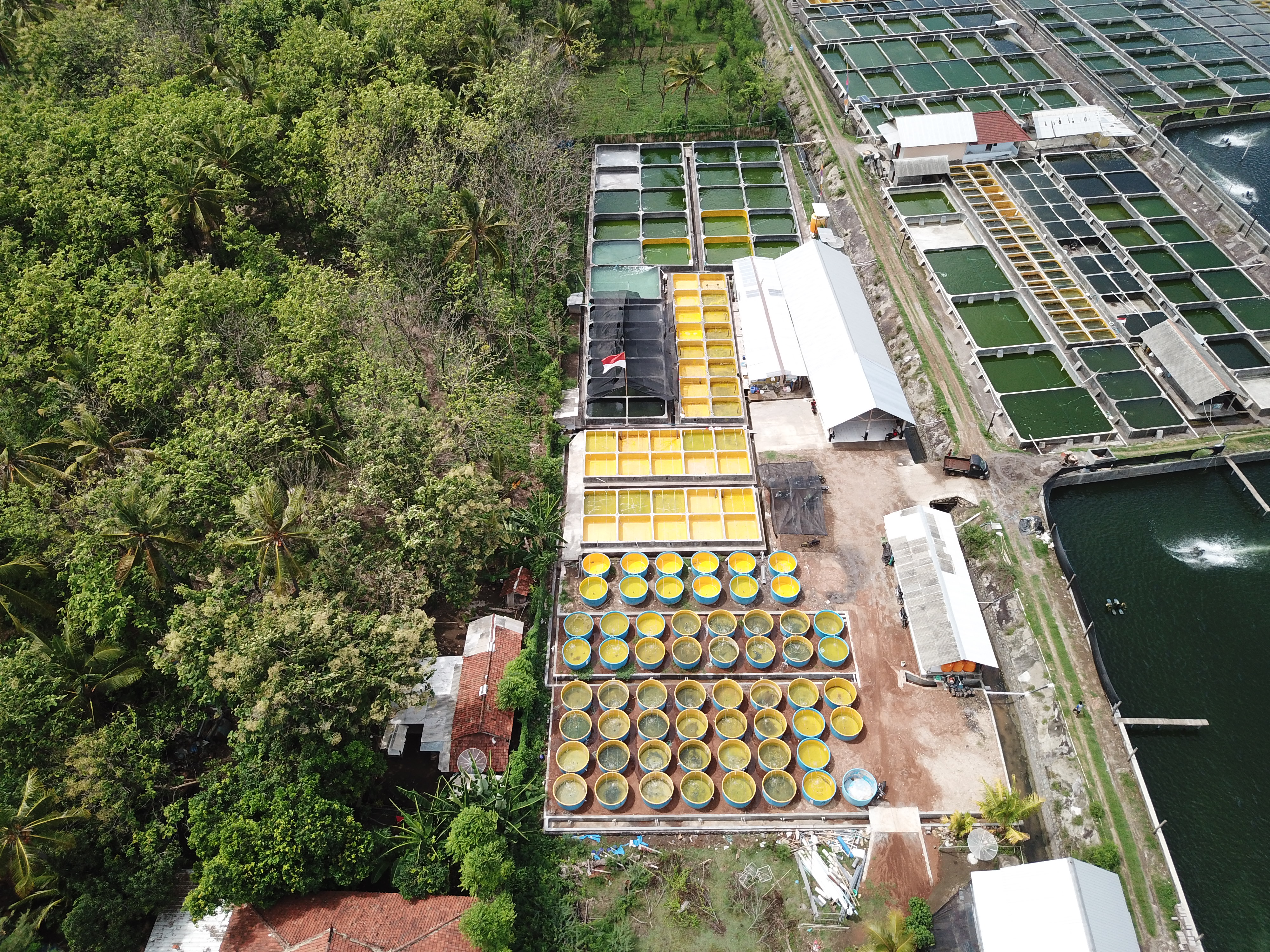 Penampungan dan Tempat Packing